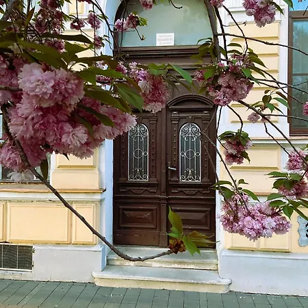 Apartment Silentium *