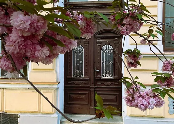 Apartament Silentium *